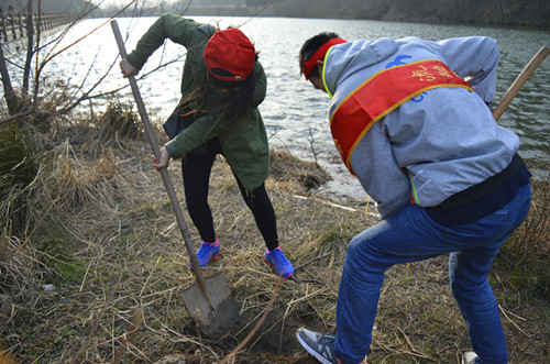 万象城体育awcsport开展义务植树活动