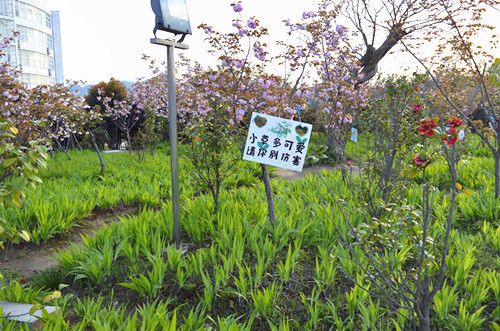 万象城体育awcsport举办挂树牌活动